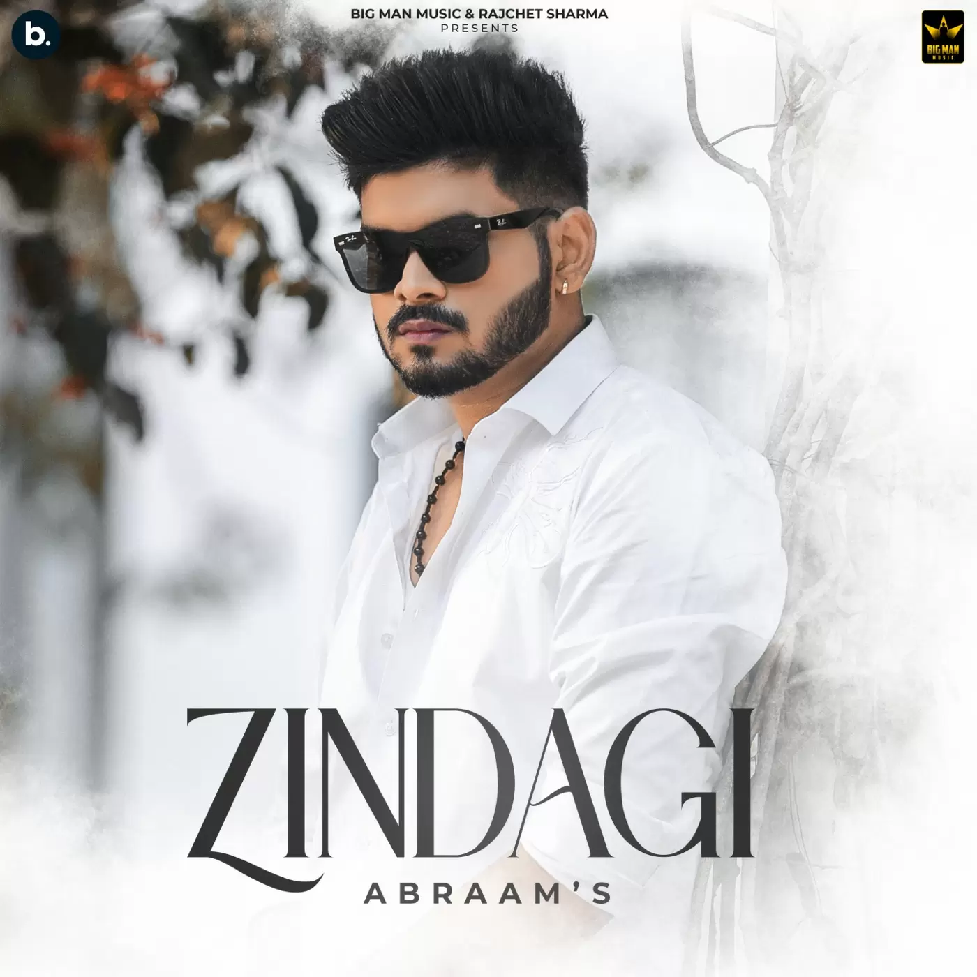 Zindagi Abraam Mp3 Download Song - Mr-Punjab