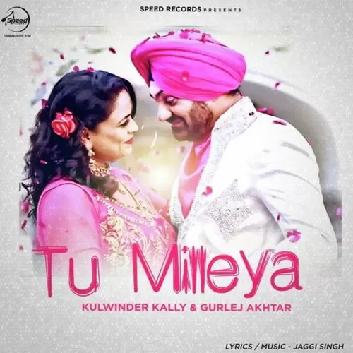 Tu Milleya Kulwinder Kally Mp3 Download Song - Mr-Punjab