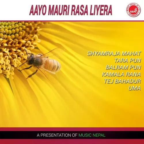 Tari Paryo Shyamraja Mahat Mp3 Download Song - Mr-Punjab