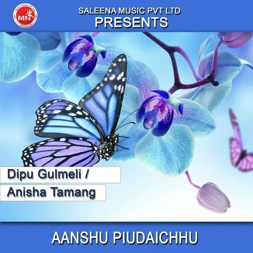 Aanshu Piudaichhu Dipu Gulmeli Mp3 Download Song - Mr-Punjab