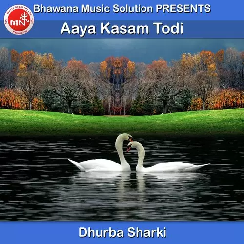 Aaya Kasam Todi Dhurba Sharki Mp3 Download Song - Mr-Punjab