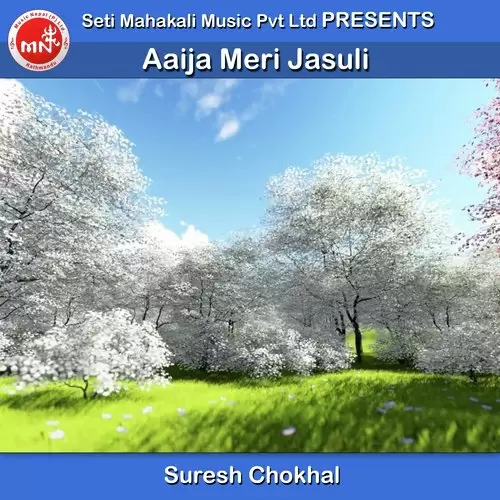 Aaija Meri Jasuli Suresh Chokhal Mp3 Download Song - Mr-Punjab