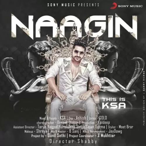 Naagin Karan Singh Arora Mp3 Download Song - Mr-Punjab