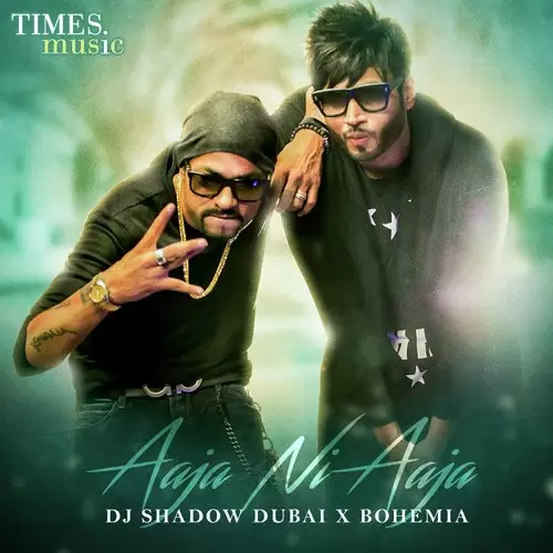 Aaja Ni Aaja DJ Shadow Dubai Mp3 Download Song - Mr-Punjab