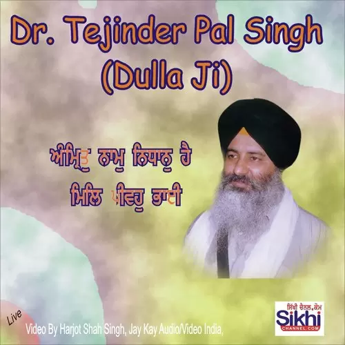 Amrit Naam Nidhaan Hai Live Dr. Tejinder Pal Singh Dulla Ji Mp3 Download Song - Mr-Punjab