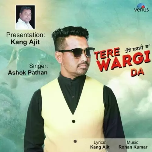 Tere Wargi Da Ashok Pathan Mp3 Download Song - Mr-Punjab