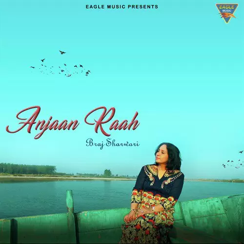 Anjaan Raah Braj Sharwari Mp3 Download Song - Mr-Punjab