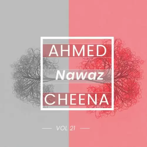 Ahmed Nawaz Cheena, Vol. 21 Songs