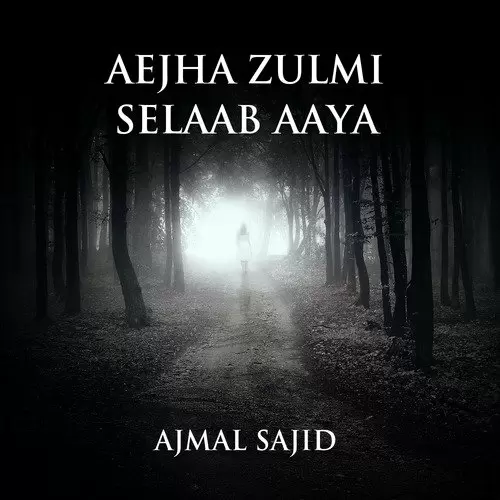 Ejha Zulmi Selab Aya Ajmal Sajid Mp3 Download Song - Mr-Punjab
