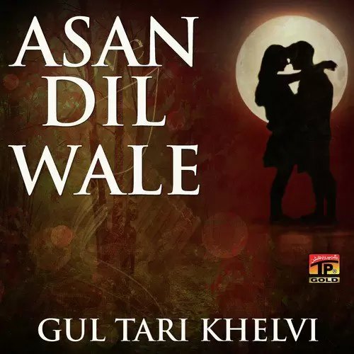 Asan Dil Waly Gul Tari Khelvi Mp3 Download Song - Mr-Punjab