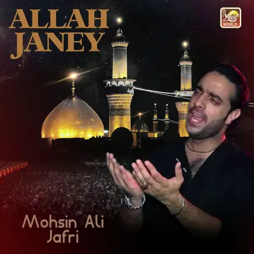 Din Satveen Da Guzar Gaya Mohsin Ali Jafri Mp3 Download Song - Mr-Punjab