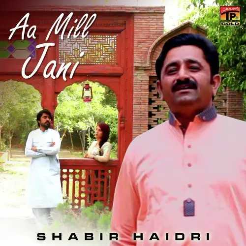 Aa Mill Jani Shabir Haidri Mp3 Download Song - Mr-Punjab