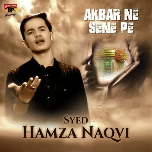 Sham E Ghareban Aagae Syed Hamza Naqvi Mp3 Download Song - Mr-Punjab