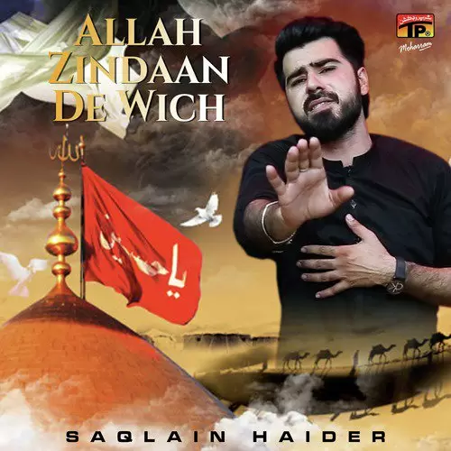 Rabba Na Koi Bhenr Saqlain Haider Mp3 Download Song - Mr-Punjab