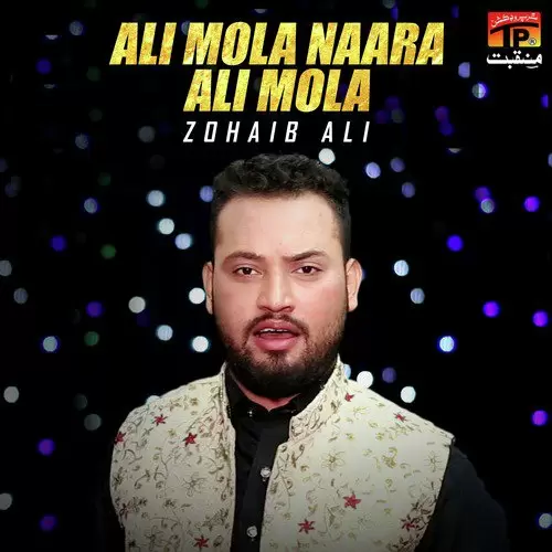 Ali Mola Naara Ali Mola Zohaib Ali Mp3 Download Song - Mr-Punjab