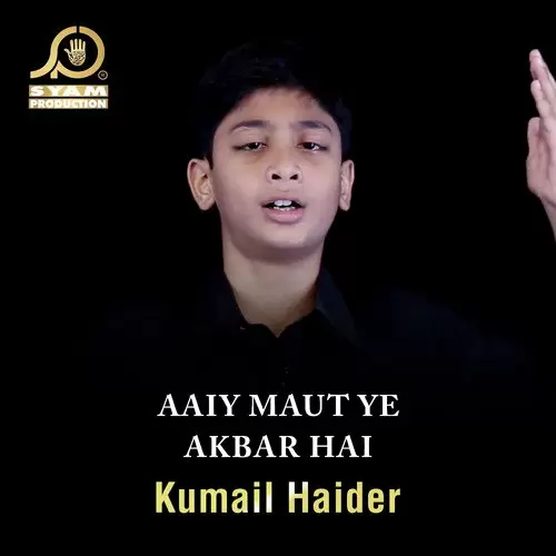 Meray Piyaray Nabi Ka Nawasa Kumail Haider Mp3 Download Song - Mr-Punjab