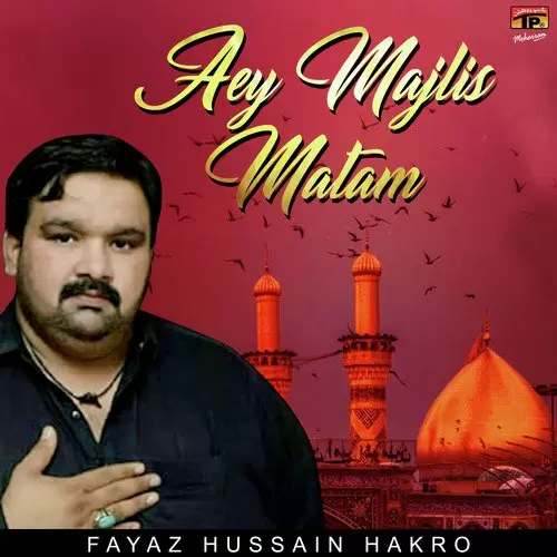 Aey Majlis Matam Songs