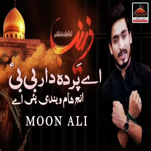 Ay Pardadaar Bibi Moon Ali Mp3 Download Song - Mr-Punjab