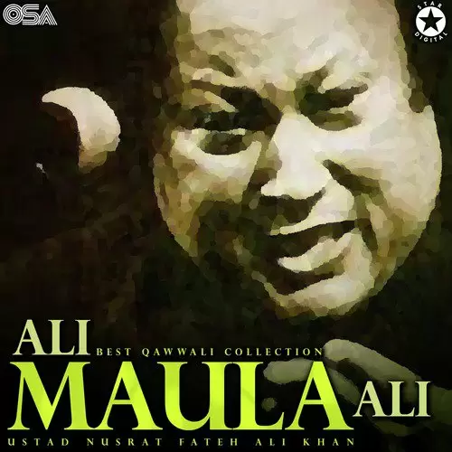 Ali Maula Ali - Best Qawwali Collection Songs