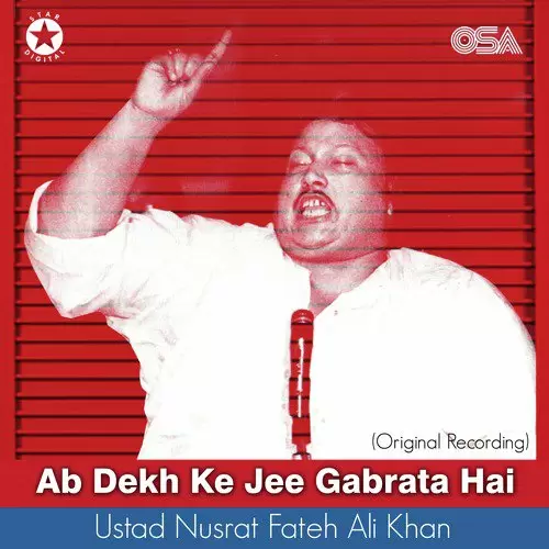 Ab Dekh Ke Jee Gabrata Hai Nusrat Fateh Ali Khan Mp3 Download Song - Mr-Punjab