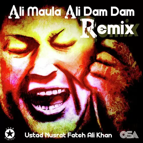 Ali Maula Ali Dam Dam Remix - Single Song by Nusrat Fateh Ali Khan - Mr-Punjab