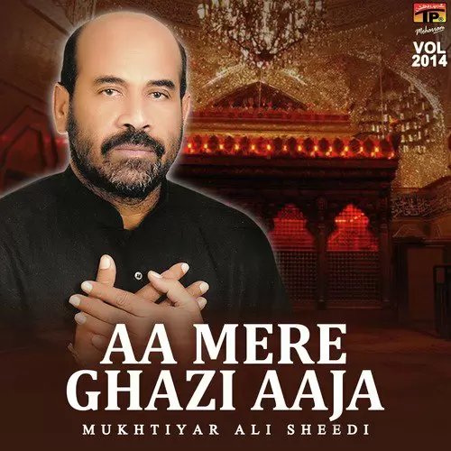 Aa Mere Ghazi Aaja, Vol. 2014 Songs