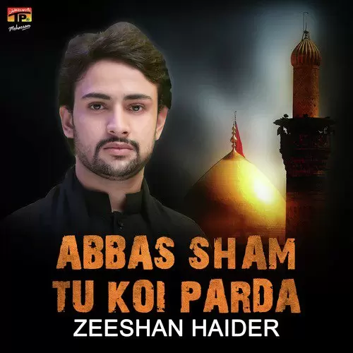 Hayi Maa De Naal Aakhiri Zeeshan Haider Mp3 Download Song - Mr-Punjab