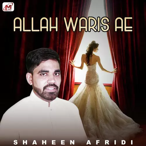 Allah Waris Ae Shaheen Afridi Mp3 Download Song - Mr-Punjab