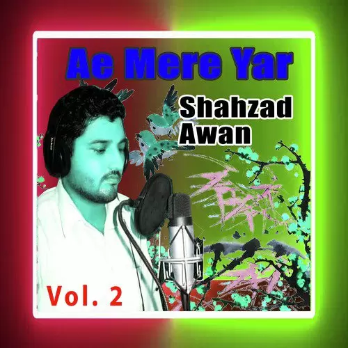 Hazara Meri Jan Hai Shahzad Awan Mp3 Download Song - Mr-Punjab