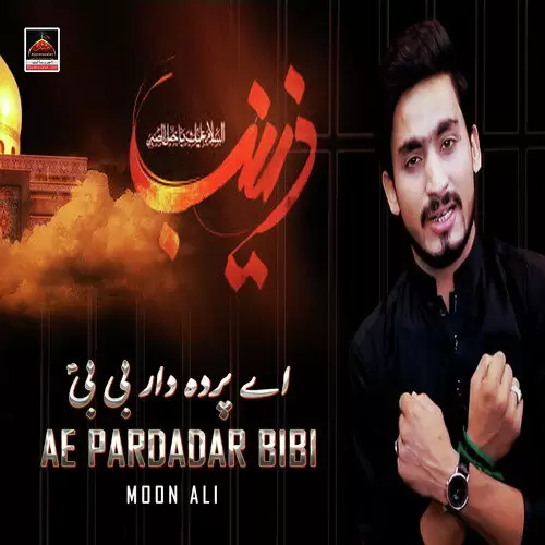 Ae Pardadar Bibi Moon Ali Mp3 Download Song - Mr-Punjab