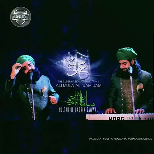 ALI MOLA ALI DAM DAM Transient Mix Sultan Ul QADRIA Qawwal Mp3 Download Song - Mr-Punjab