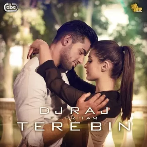 Tere Bin DJ Raj Mp3 Download Song - Mr-Punjab