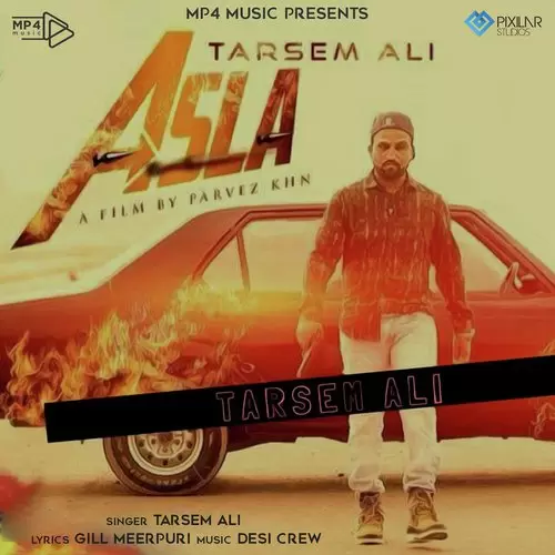 Asla Tarsem Ali Mp3 Download Song - Mr-Punjab