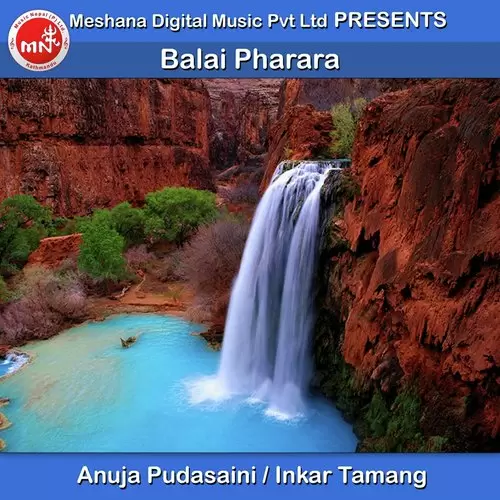 Balai Pharara Anuja Pudasaini Mp3 Download Song - Mr-Punjab