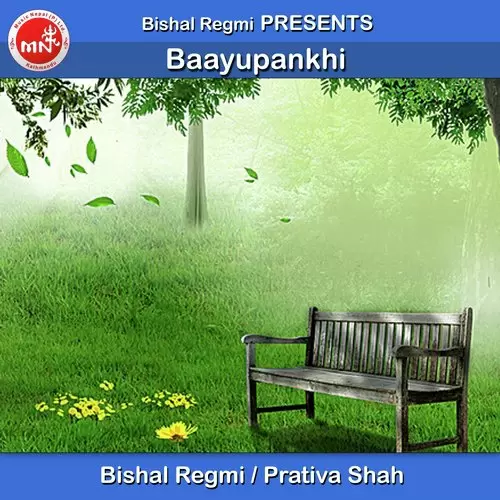 Baayupankhi Bishal Regmi Mp3 Download Song - Mr-Punjab