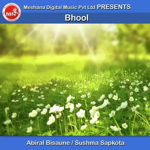 Bhool Abiral Bisaune Mp3 Download Song - Mr-Punjab