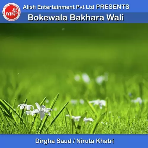 Bokewala Bakhara Wali Dirgha Saud Mp3 Download Song - Mr-Punjab