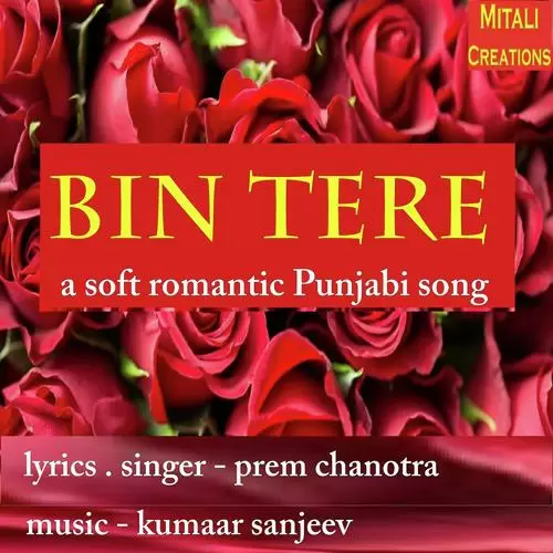Bin Tere Prem Chanotra Mp3 Download Song - Mr-Punjab