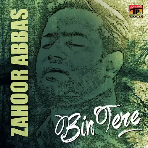 Bin Teray, Vol. 1 Songs