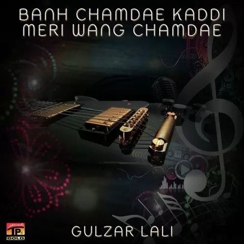 Meri Baanh Chamray Gulzar Lali Mp3 Download Song - Mr-Punjab