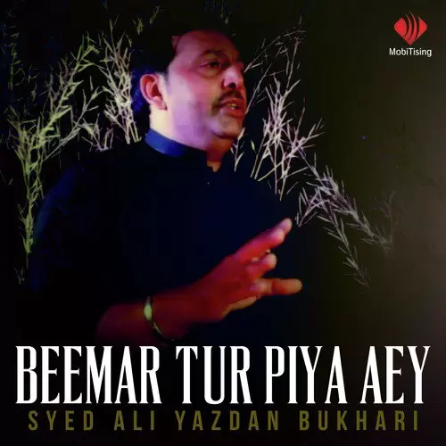 Beemar Tur Piya Aey Songs