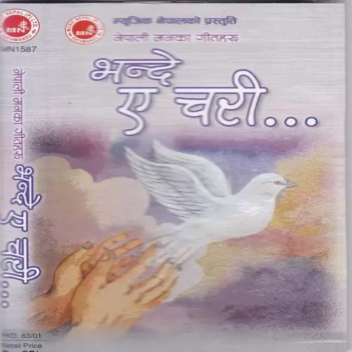 Euta Nepalilai Niraj Baral Mp3 Download Song - Mr-Punjab