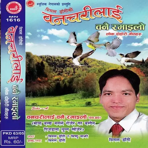 Jyan Le Nabhule Bimal Dangi Mp3 Download Song - Mr-Punjab