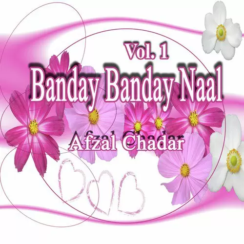 Banday Banday Naal, Vol. 1 Songs