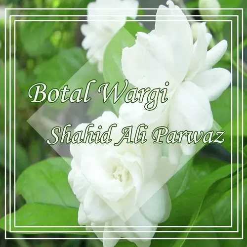 Botal Wargi Songs