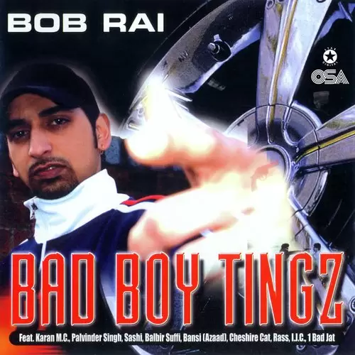 Bad Boy Tingz Songs