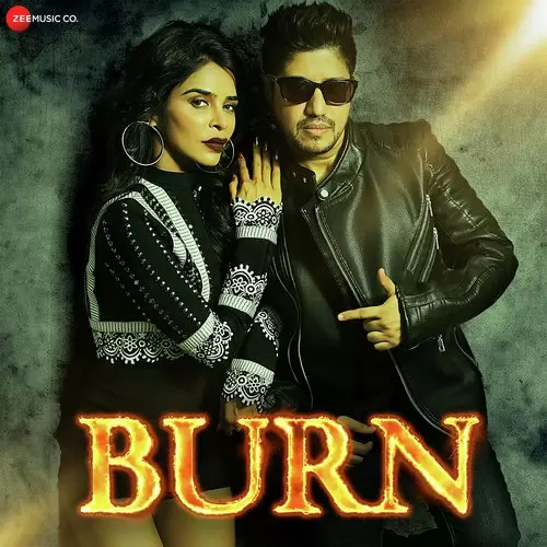 Burn Harry Anand Mp3 Download Song - Mr-Punjab