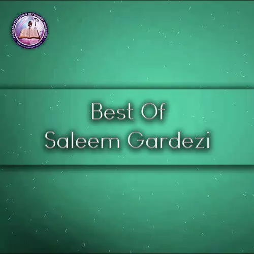 Best Of Saleem Gardezi Songs