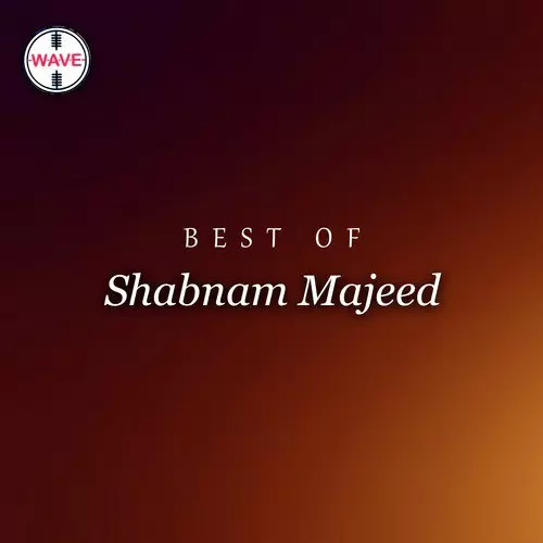 Best Of Shabnam Majeed Songs