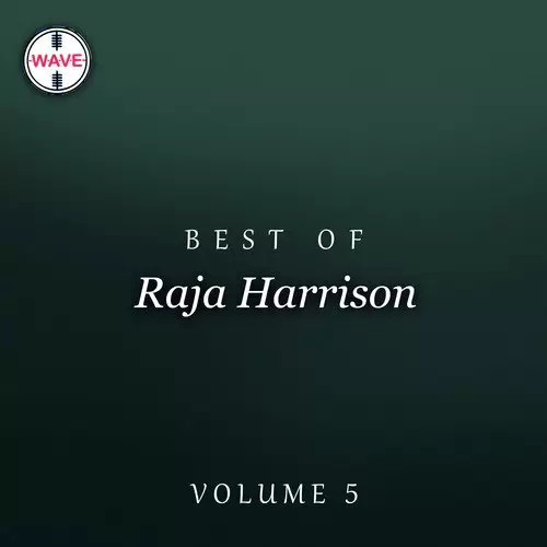 Ya Rab Tu Meri Panah Raja Harrison Mp3 Download Song - Mr-Punjab